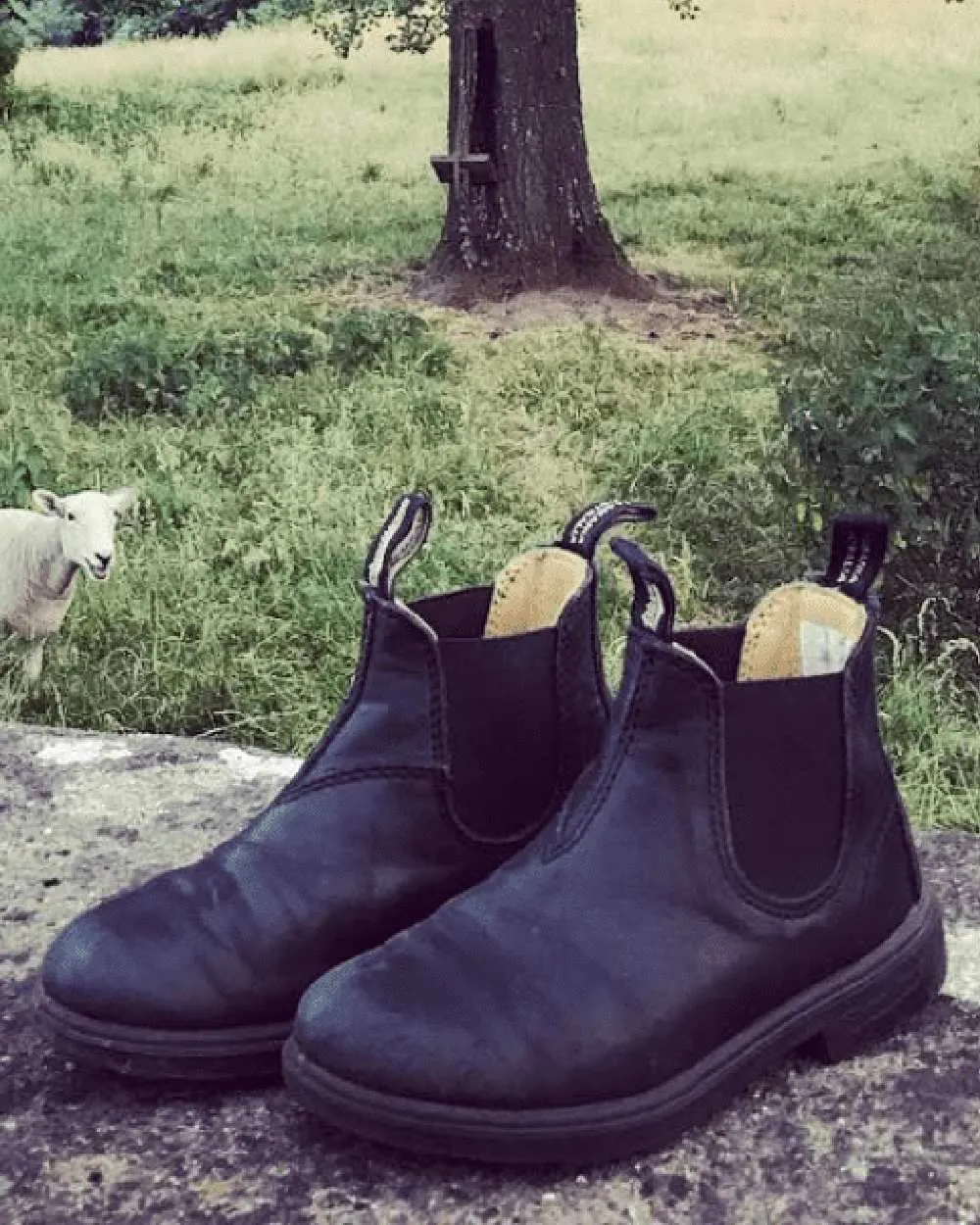 Discontinued Boots Clearance Sale Blundstone Childrens 531 Black Chelsea Boots