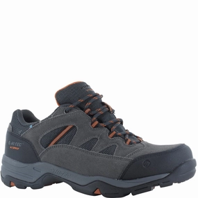 Performance shoes for color runs Hi-Tec Bandera II Low Shoes