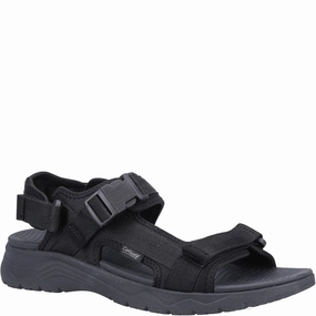 forest hikes Cotswold Buckland Sandal