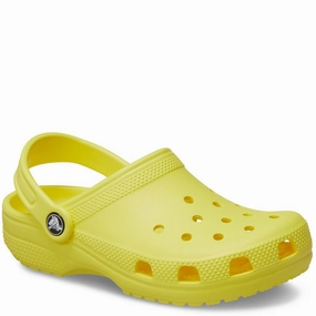 Crocs Kids Classic Clog Summer Vibe